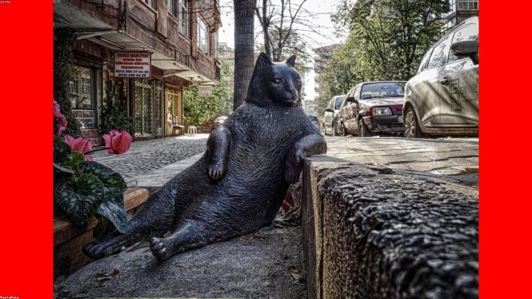 Analytics dashboard workspace representing SEO tools and Seobility alternatives